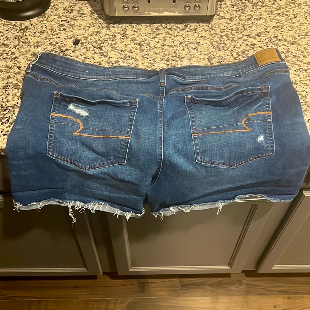 American Eagle Shorts (plus size)